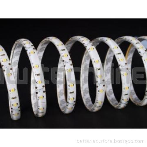 60Leds/m SMD3528 waterproof IP65 flexible Led strip